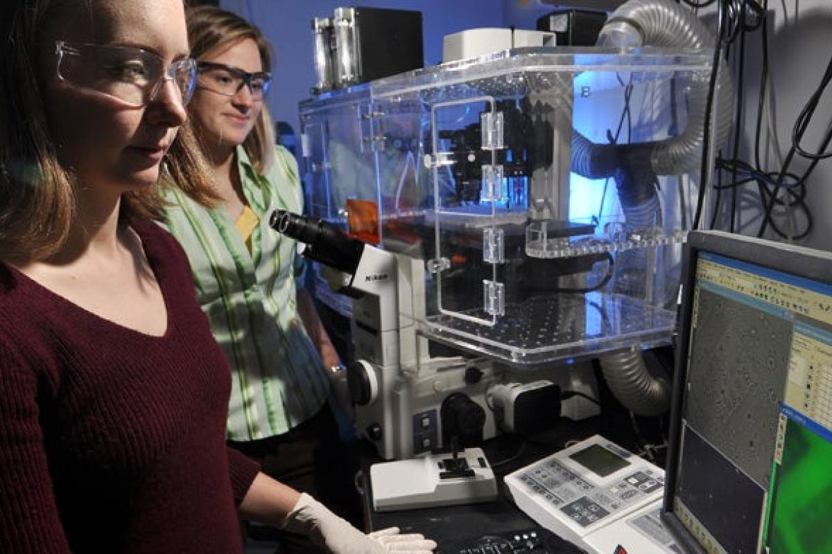 Grad students in Chemical Engineering lab looking at computer screen