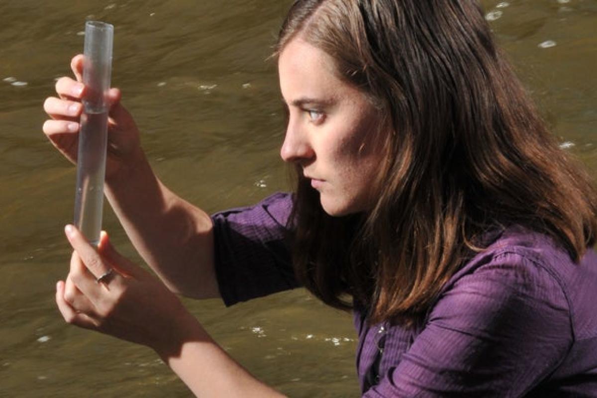 Students looking at text tube by creek