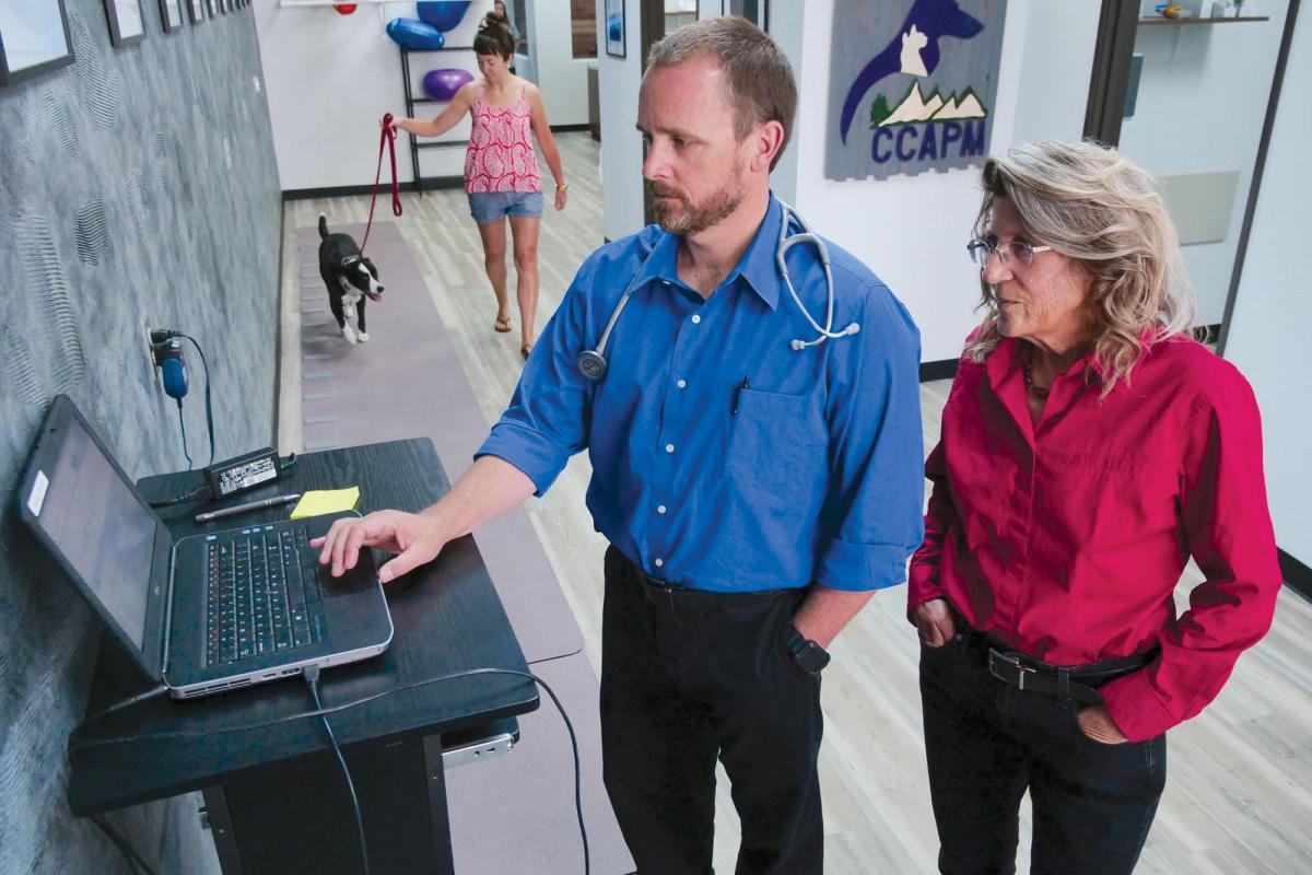 Vet and researcher with dog and owner walking in background