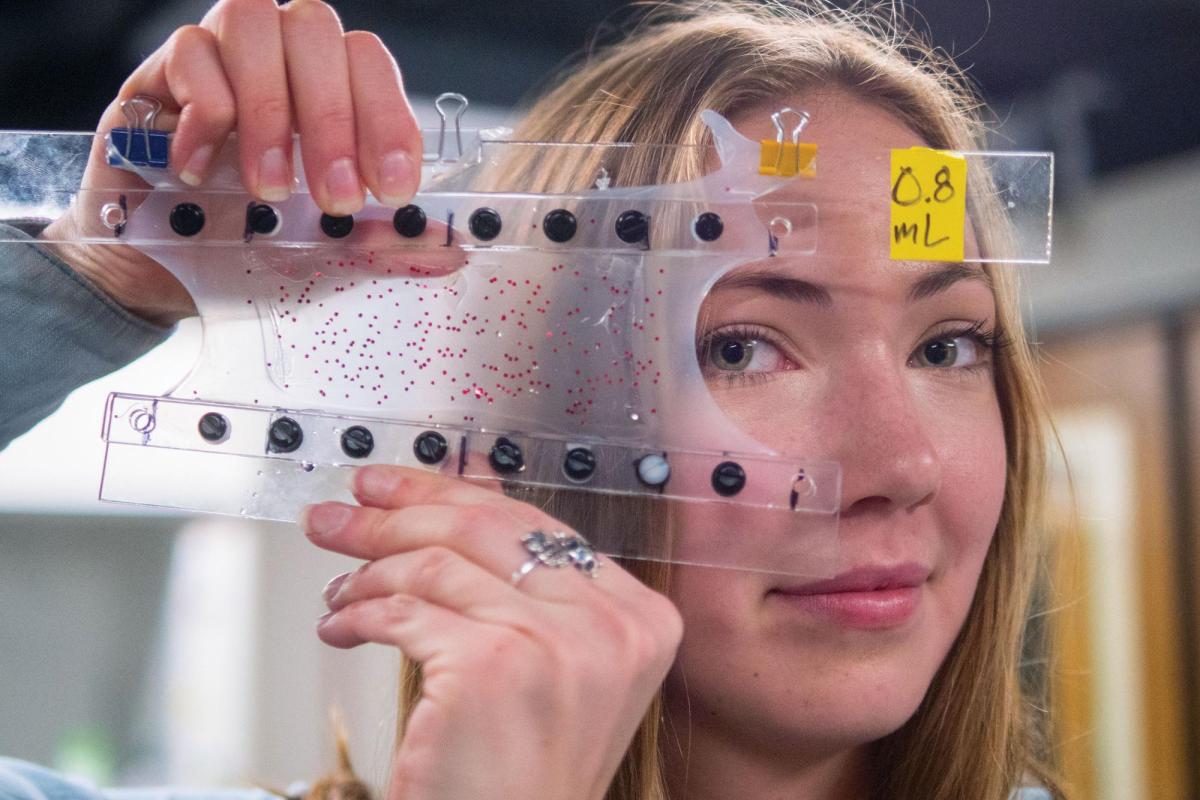 Student holding up soft, flexible device