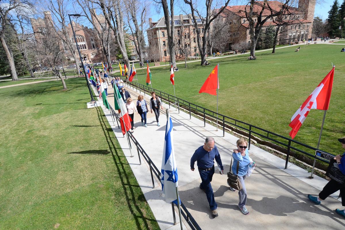 Flags along campus sidewalk