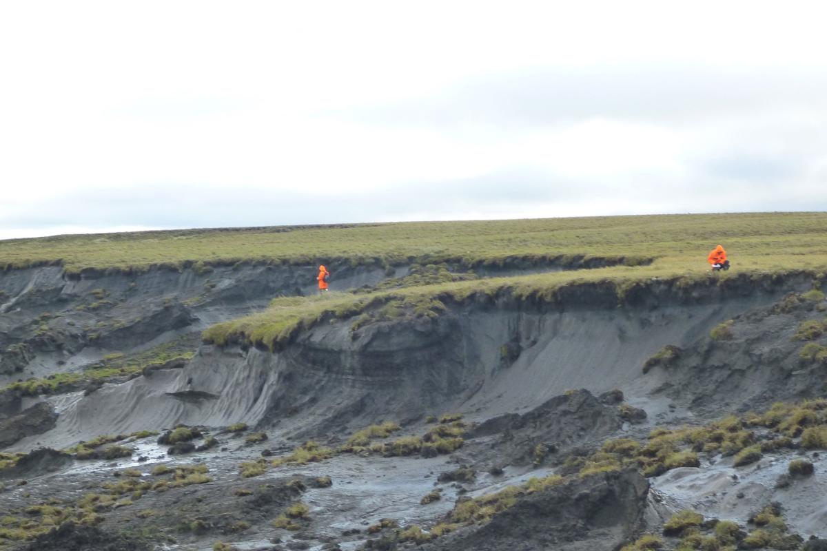 An Alfred Wegener Institute permafrost team inspects a massive thaw slump on the Yedoma coast of the Bykovsky Peninsula.