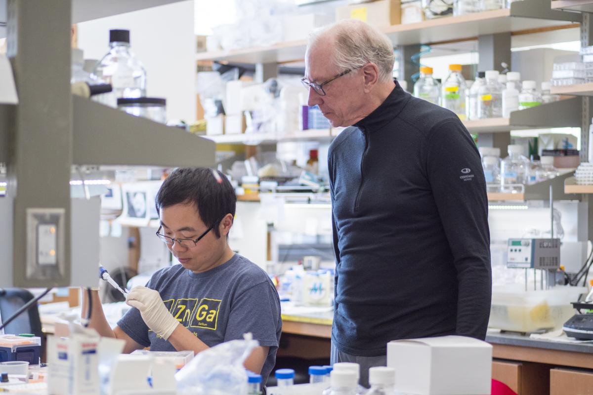 CU Boulder researcher Tom Cech working with a student in the lab