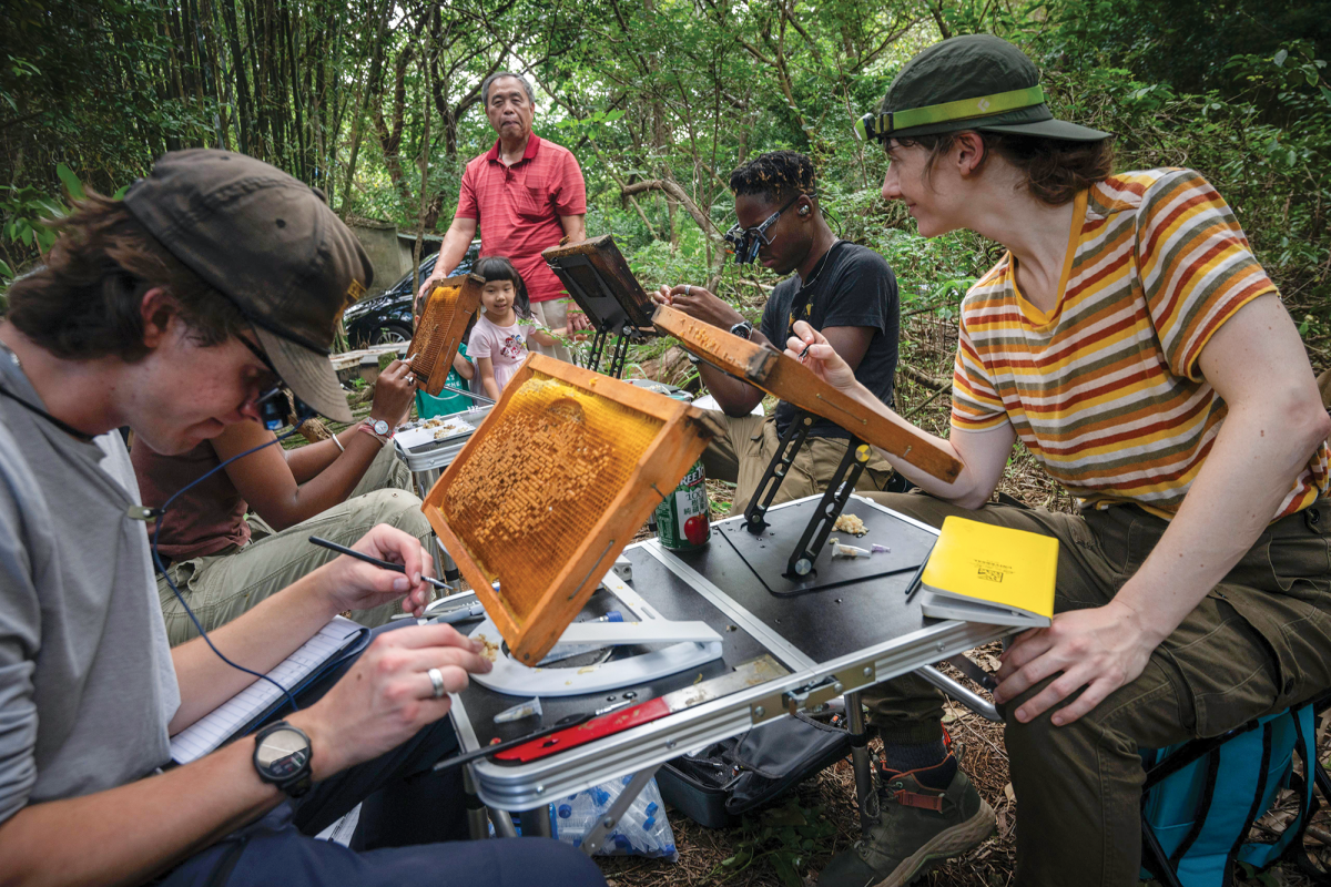 Researchers with the Honey Bee-nome Project in the field