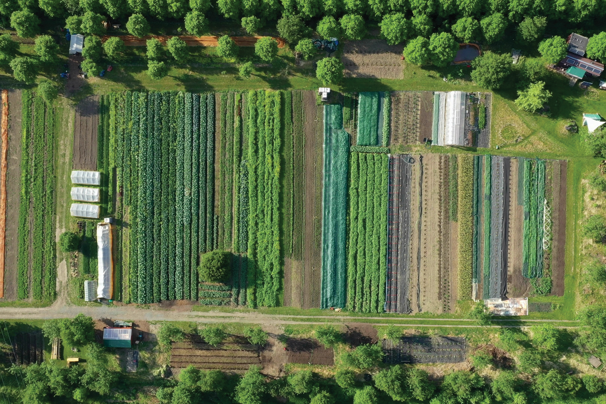Aerial view of farm with crop diversification