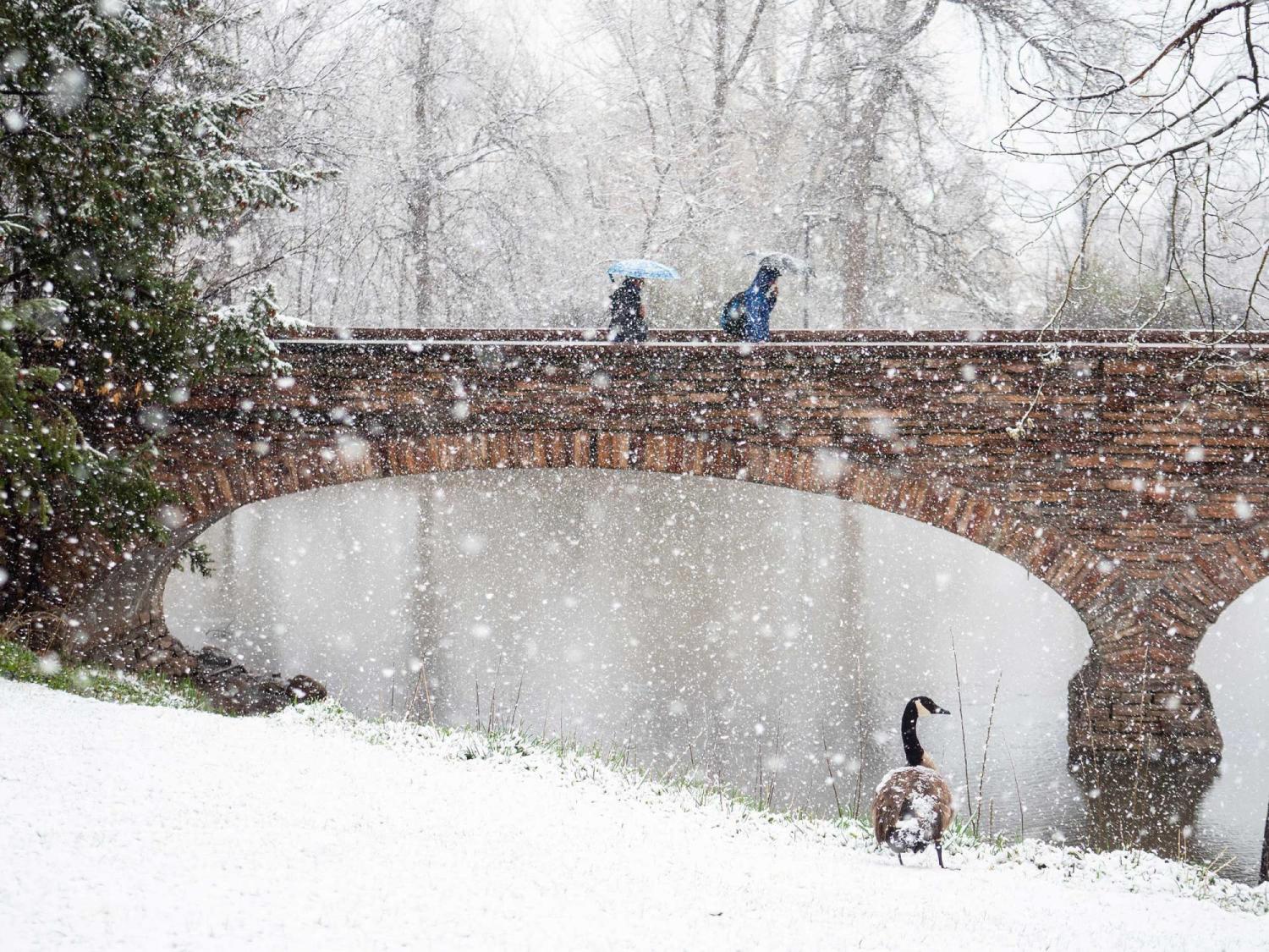 Snow falling on campus