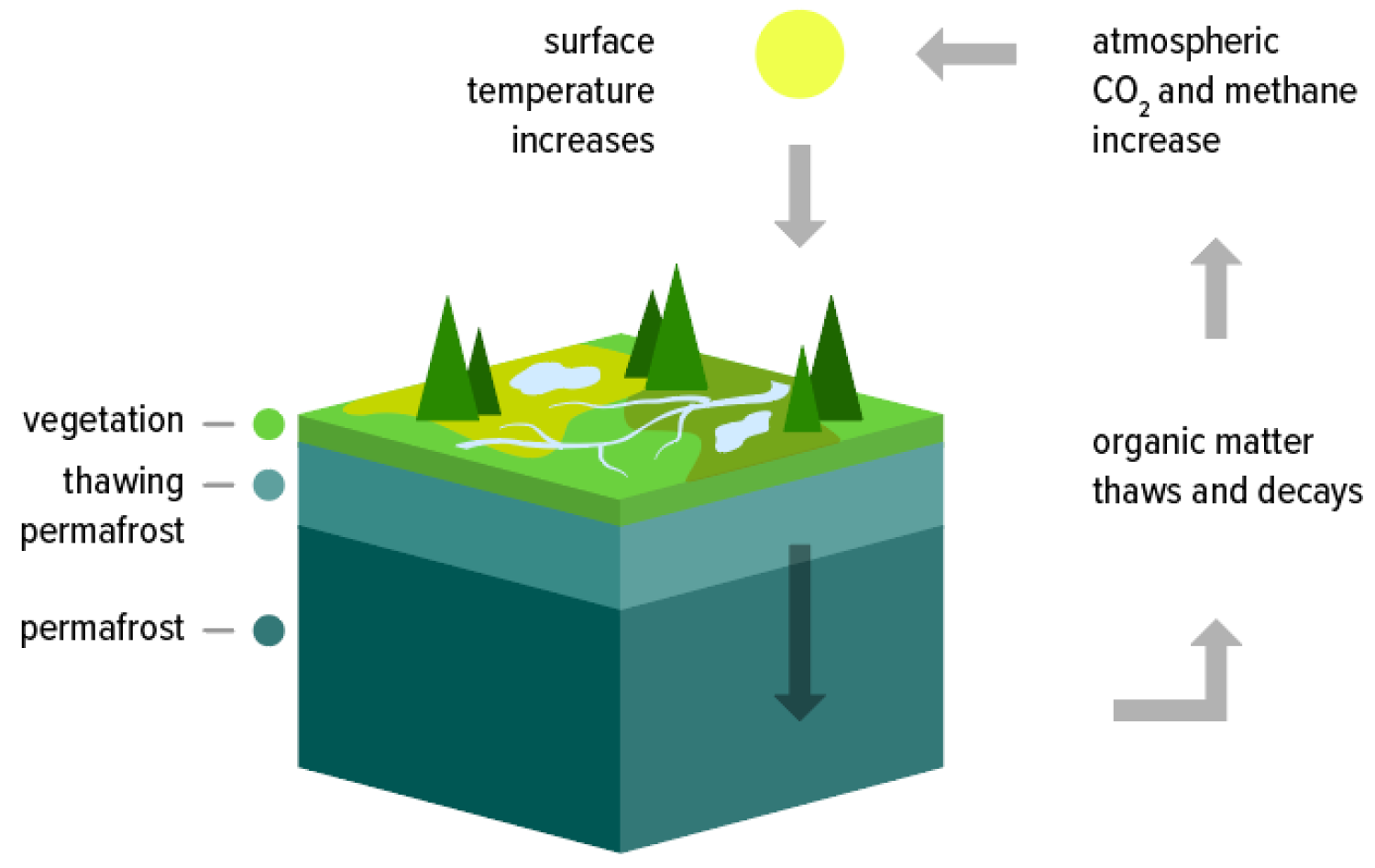 Permafrost graphic