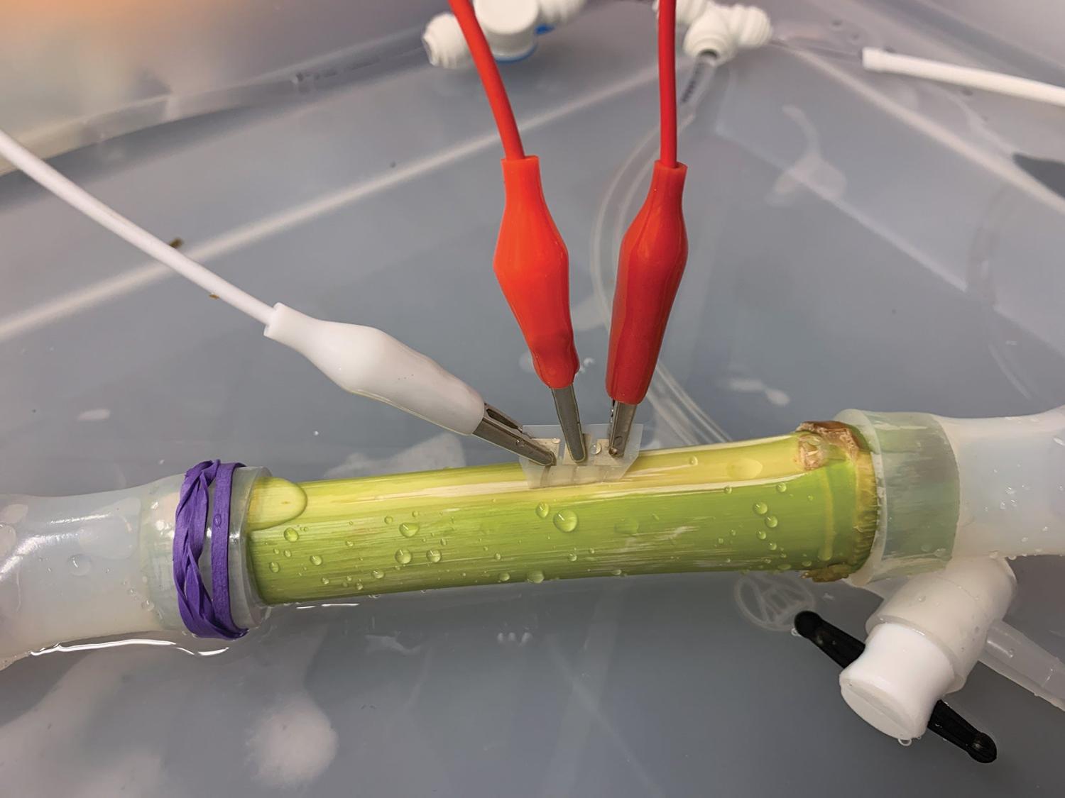 Soil sensor