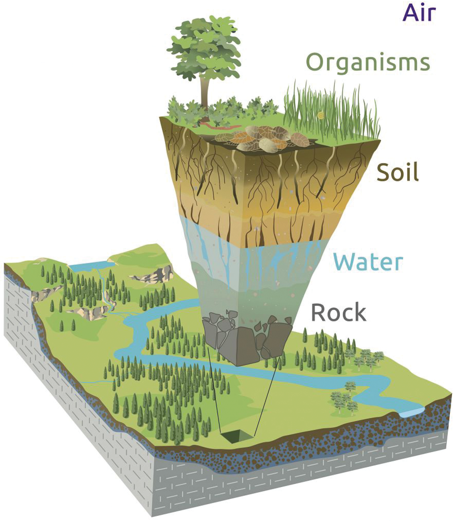 Western water diagram showing from top to bottom: air, organisms, soil, water, rock