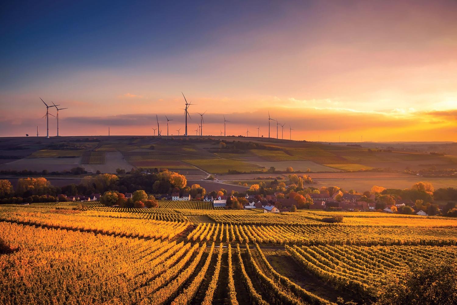 Agricultural landscape and windfarm at sunset