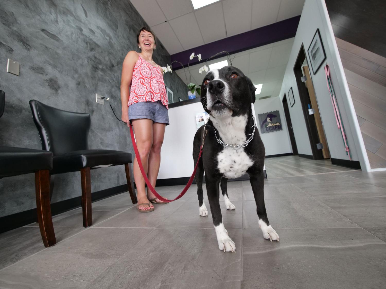 Owner with her dog