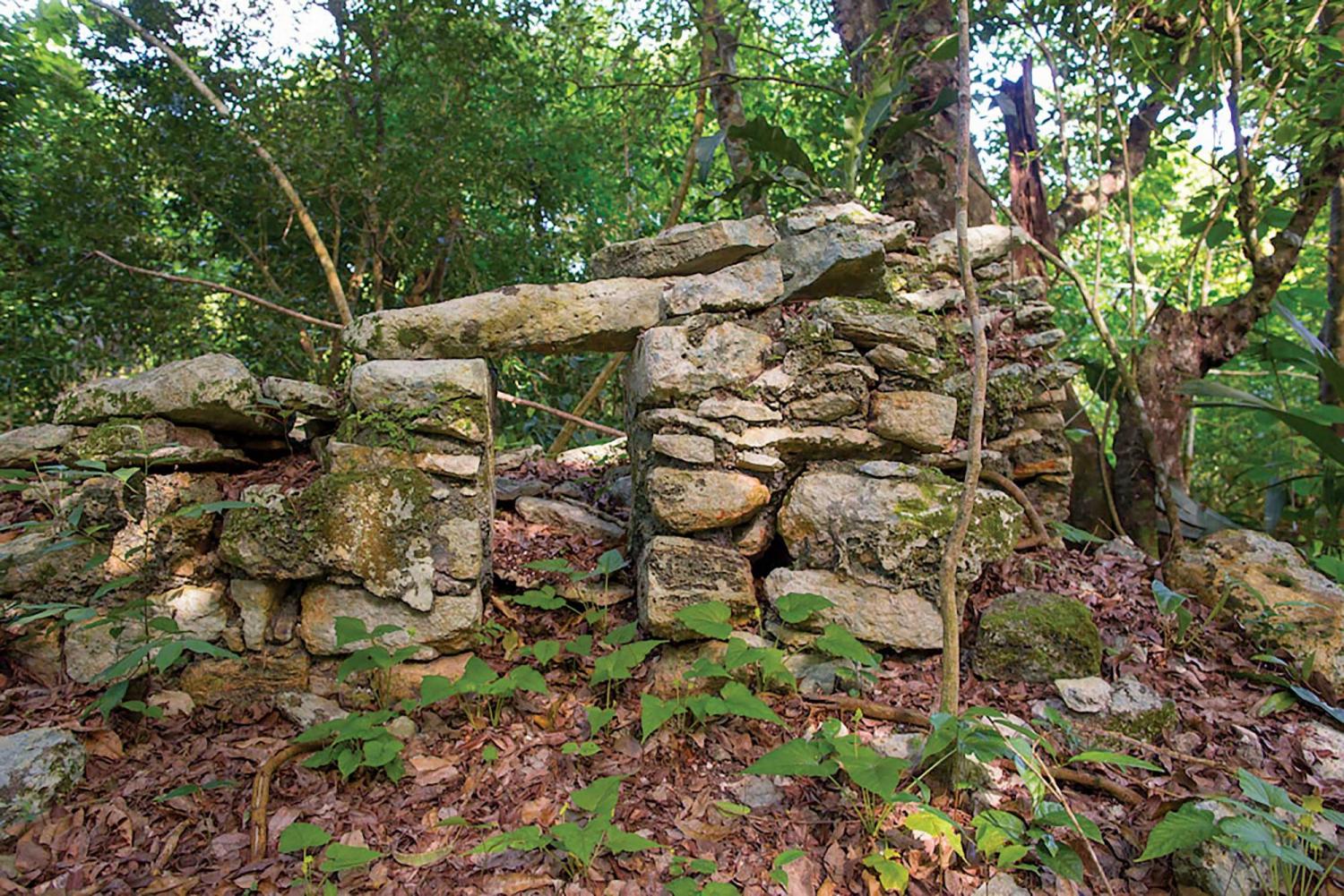 Ruins of an ancient structure in a jungle