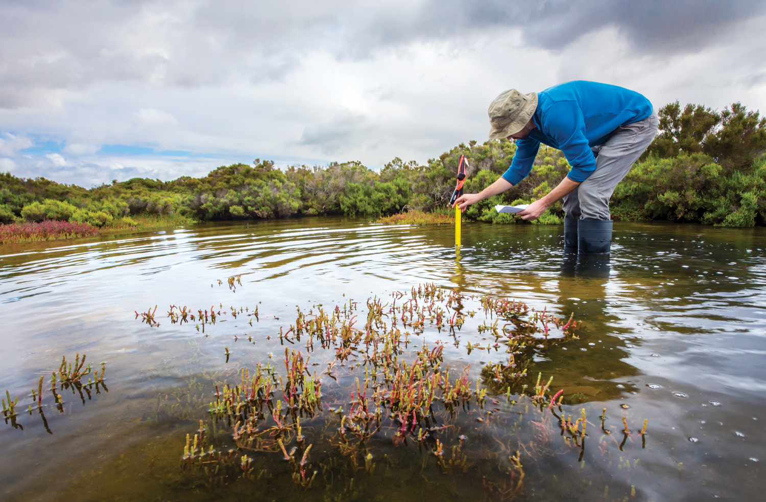 A researcher measures water levels in a pond