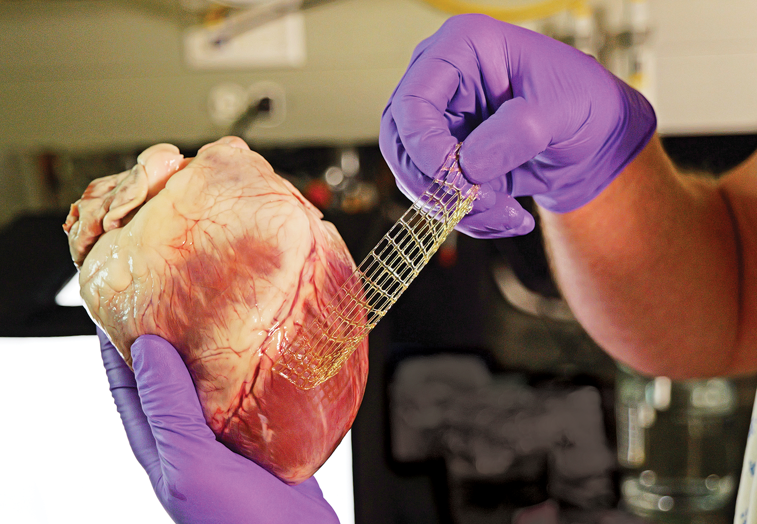 Laboratory tests show this 3D printed material molds and sticks to organs. Pictured is a porcine heart.