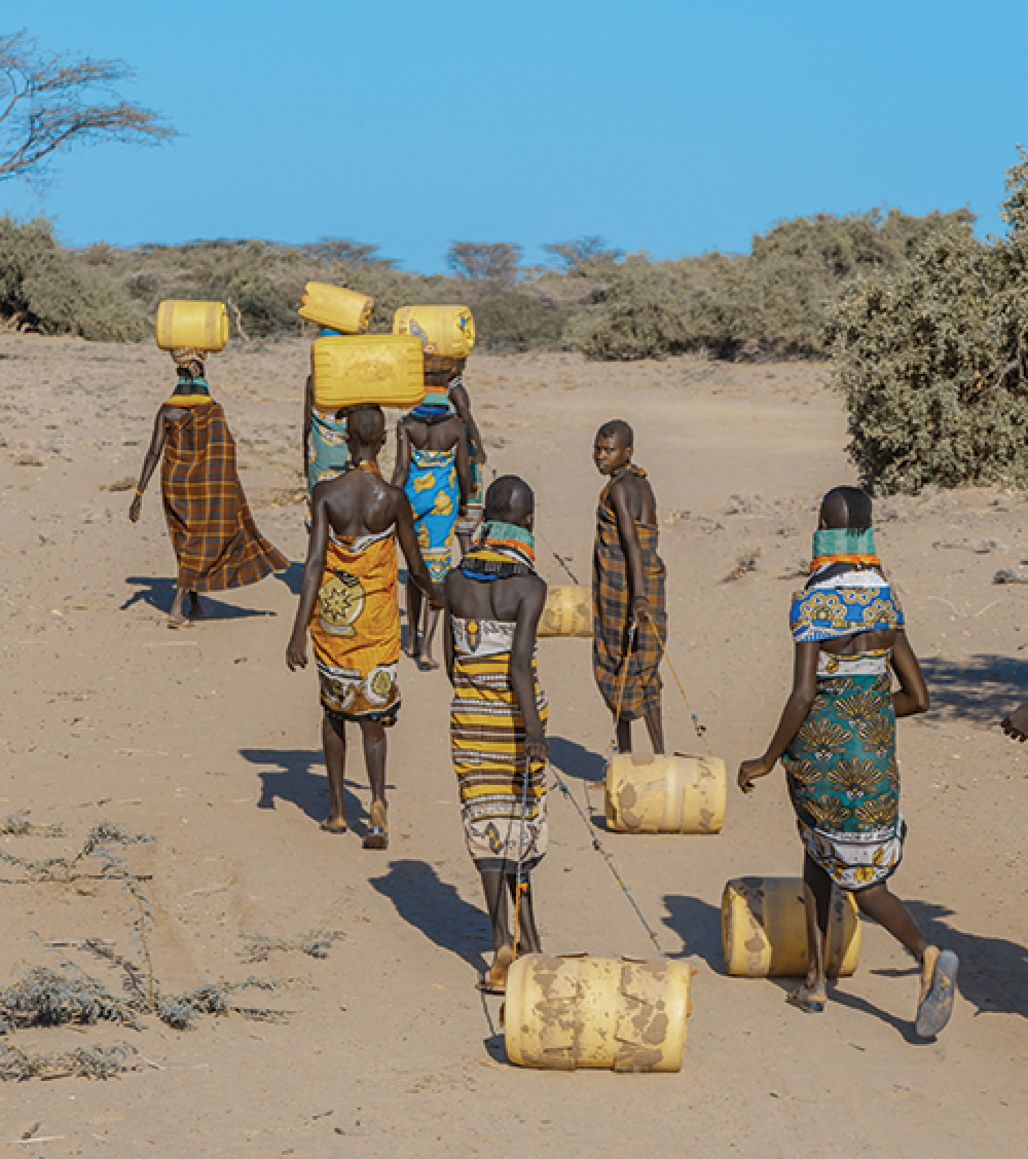 People carrying water in a community in northern Kenya
