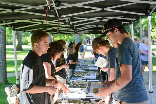 Students at career fair