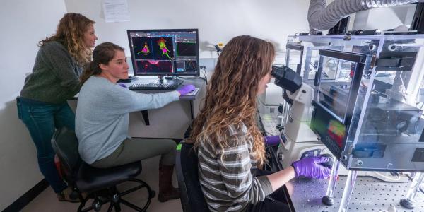 Students doing research in lab