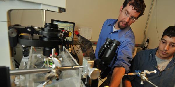 Student and faculty member working in Borden lab