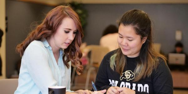 An academic advisor helping a student