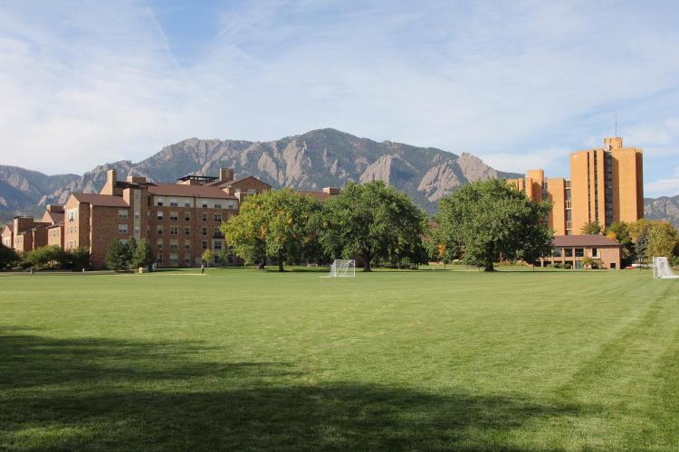 Williams Village