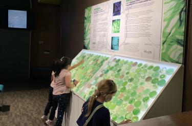 Viewers explore different species of cyanobacteria at the REFRESH exhibition