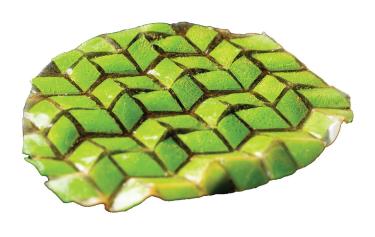 Shape shifting material