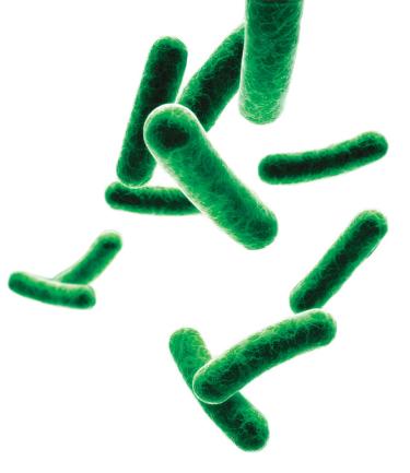 Gut microbiota