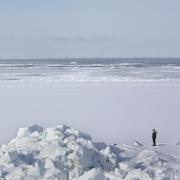 Person standing in the arctic