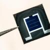 Perovskite cell