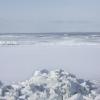 Person standing in the arctic