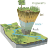 Western water diagram showing from top to bottom: air, organisms, soil, water, rock