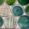 Four different species of cyanobacteria