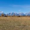 Prairie with mountain range in background