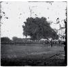 29th Regiment Connecticut Volunteers, Beaufort, South Carolina.