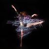 Emily Daub dance performance
