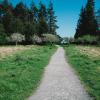 Walking path through a field and trees