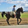 Boy riding horse near a field 