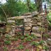 Ruins of an ancient structure in a jungle