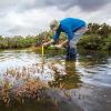 A researcher measures water levels in a pond