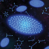 Coulomb crystals are surrounded by molecules used in the Lewandowski laboratory to study astrochemical reactions
