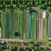 Aerial view of farm with crop diversification