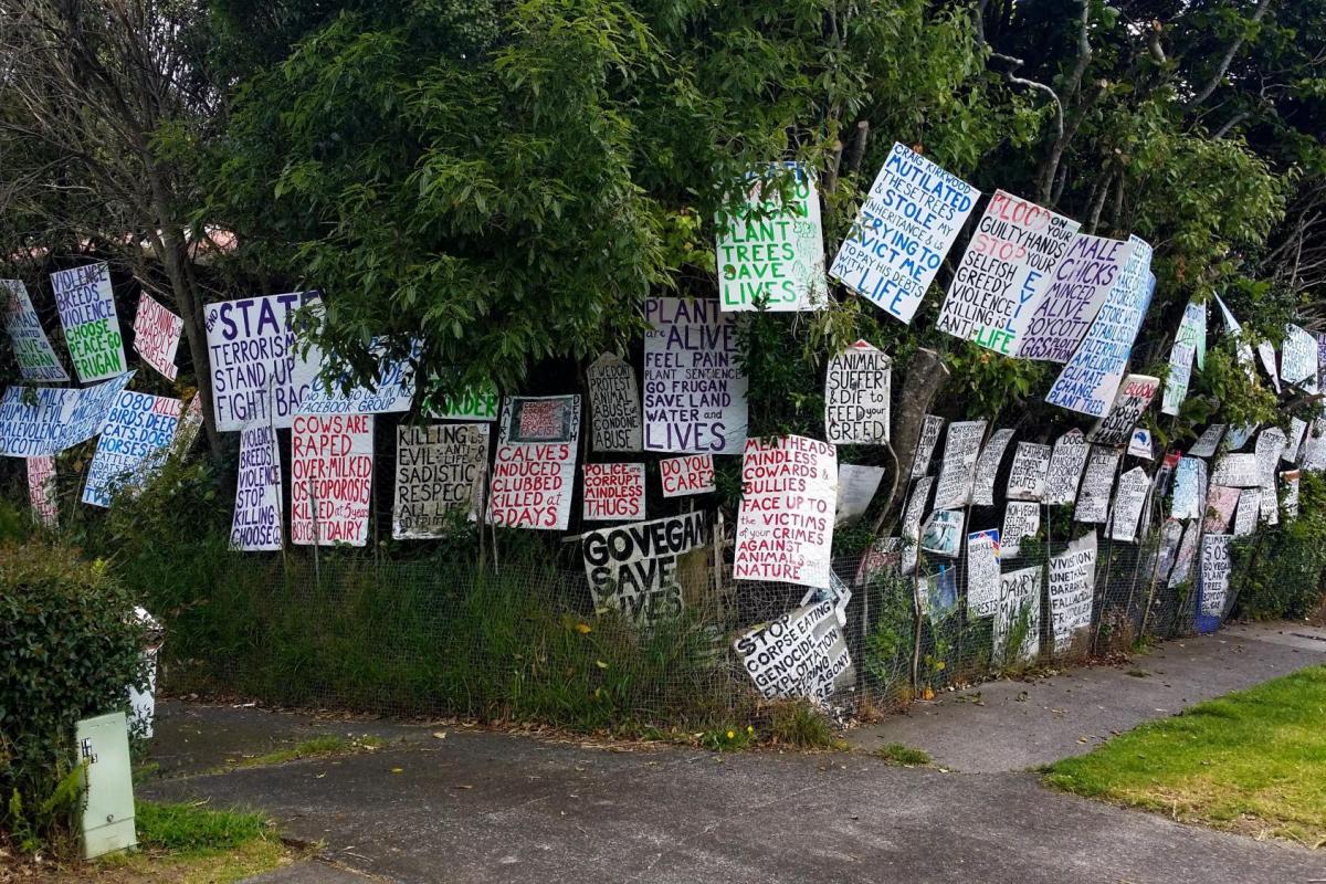Free Speech signs