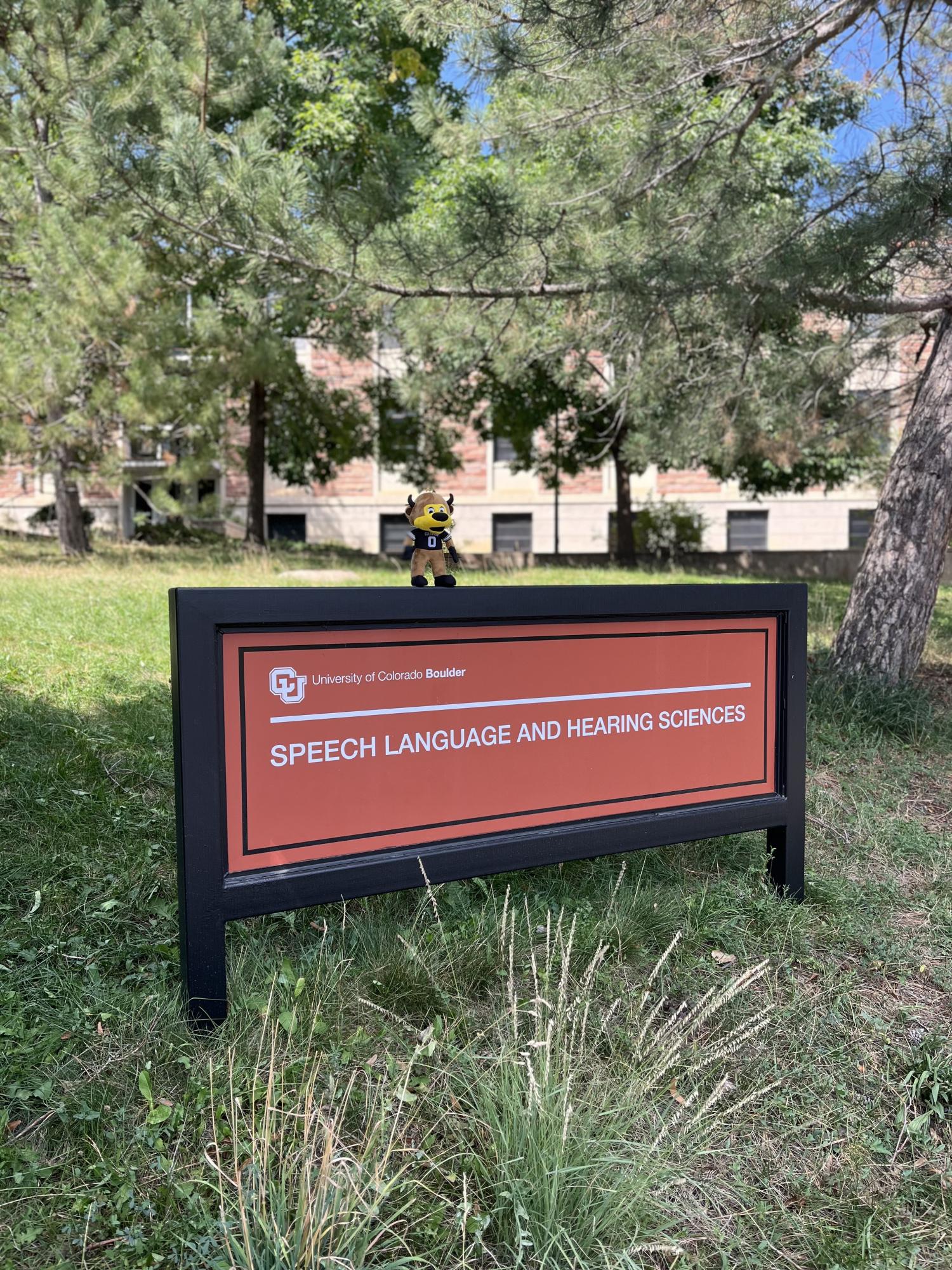 SLHS Building with Chip