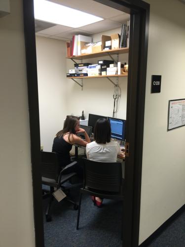 People working on computer