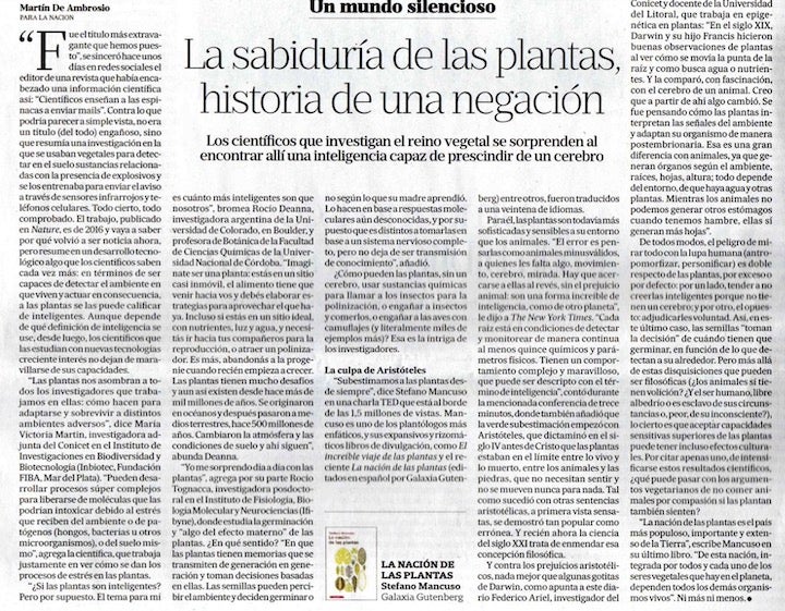 news clipping