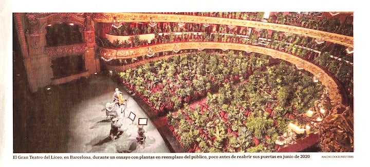 plantconcert