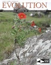Petunia cover