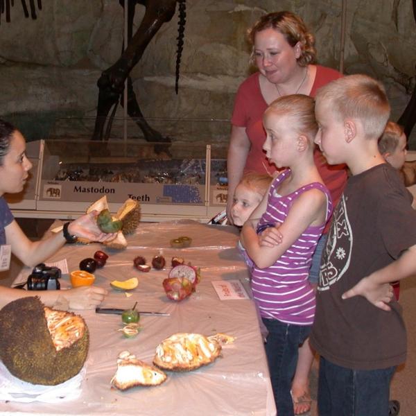 Julia walks visitors through fun fruits from around the world, like Japanese eggplant.