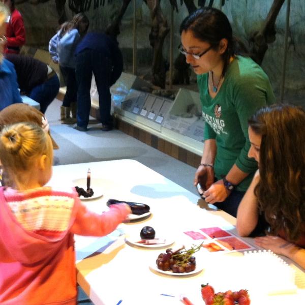 Randi and Rachel discuss how anthocyanin pigments give color to red, purple and blue fruits. Anthocyanins also have health benefits for humans.