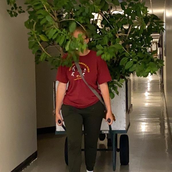 Moving Iochromas